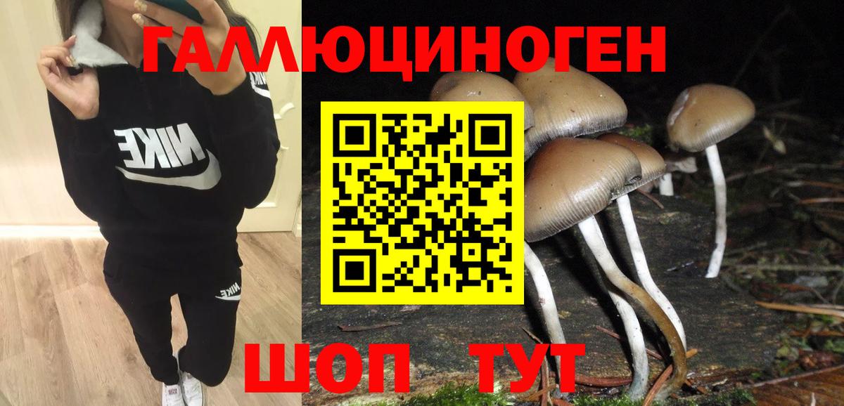 Галлюциногенные грибы Psilocybine cubensis  Вход с VPN  сколько стоит  Чапаевск 