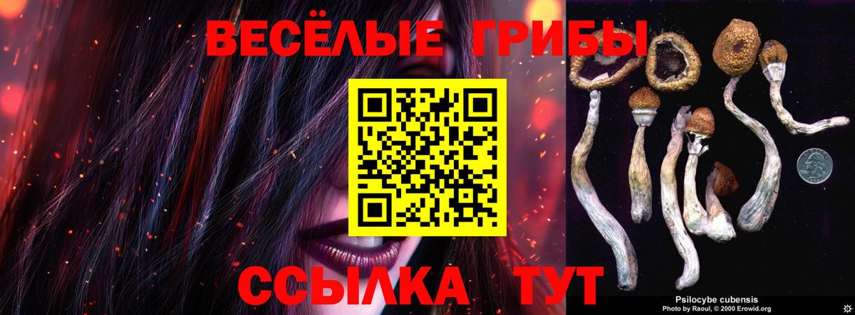 Чапаевск  Канабис  COCAIN  МЕФ  Вход с VPN  Меф кристаллы  ГАШИШ 